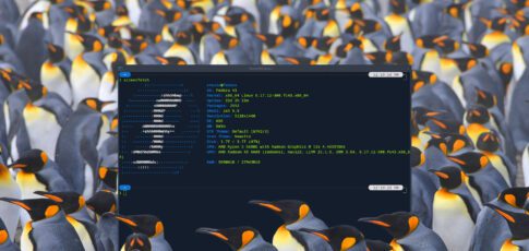 Tech News 6 i spent a year on linux and