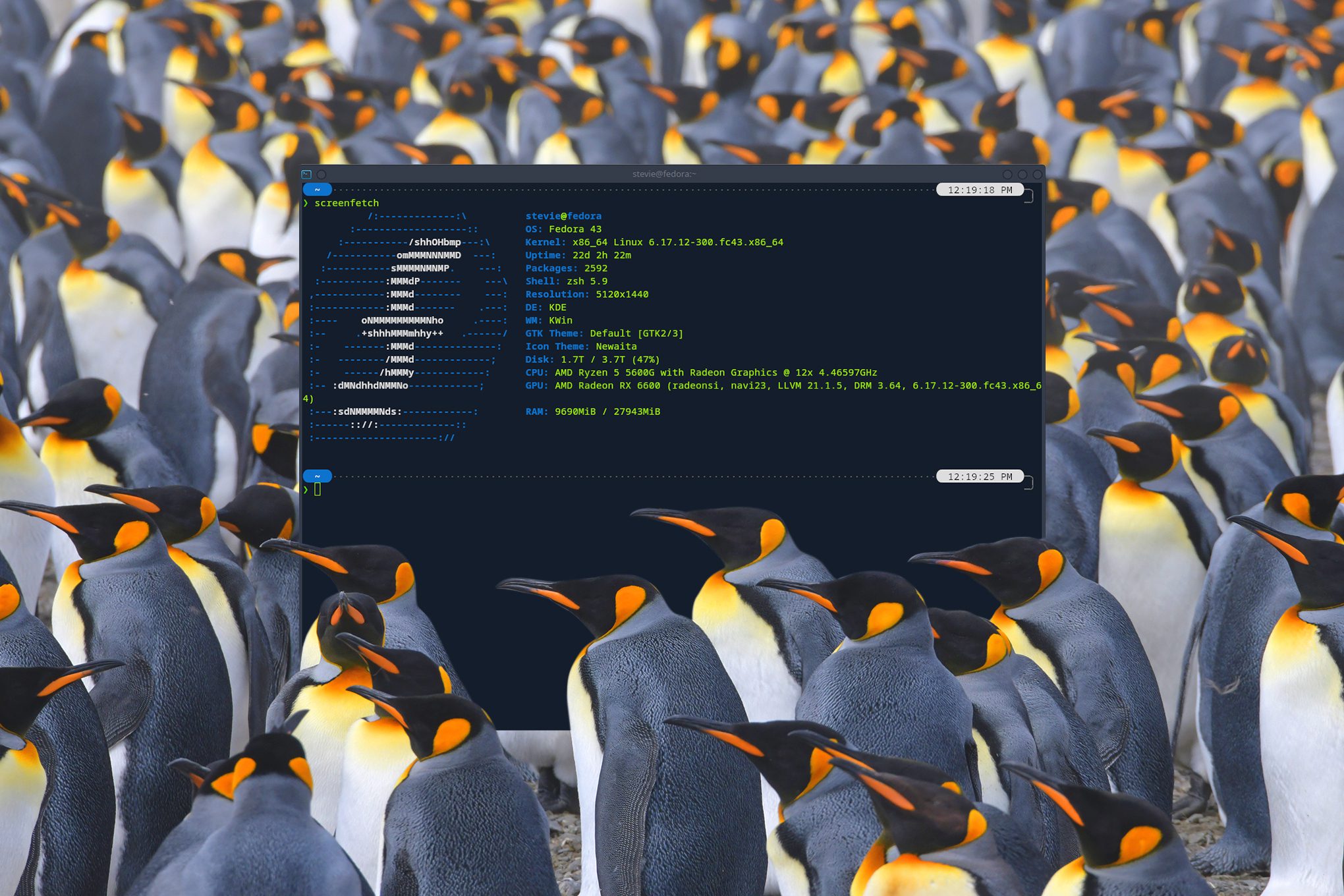 i spent a year on linux and