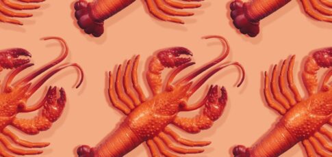 everything you need to know about viral