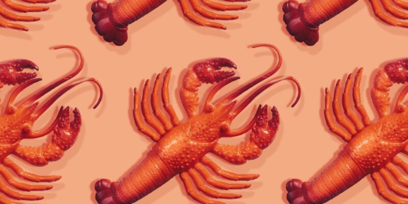 everything you need to know about viral
