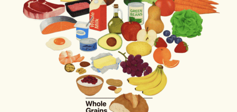 rfk jr s dietary guidance food funnel