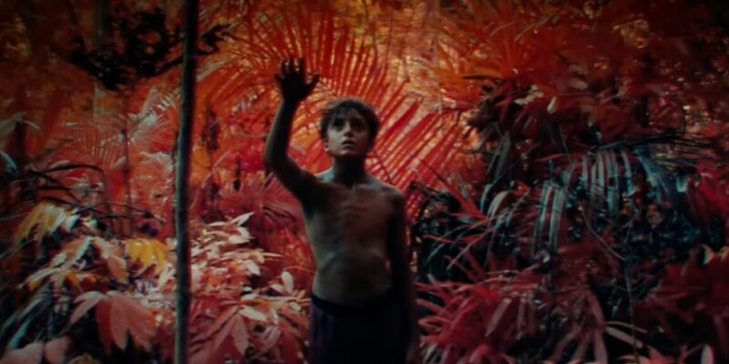 Stranded boys struggle to survive in Lord of the Flies trailer 15 stranded boys struggle to survive in lord