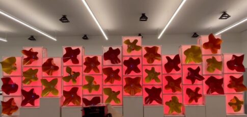 watch a robot swarm bloom like a