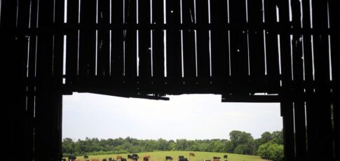 Tech News 6 data center builders thought farmers would willingly