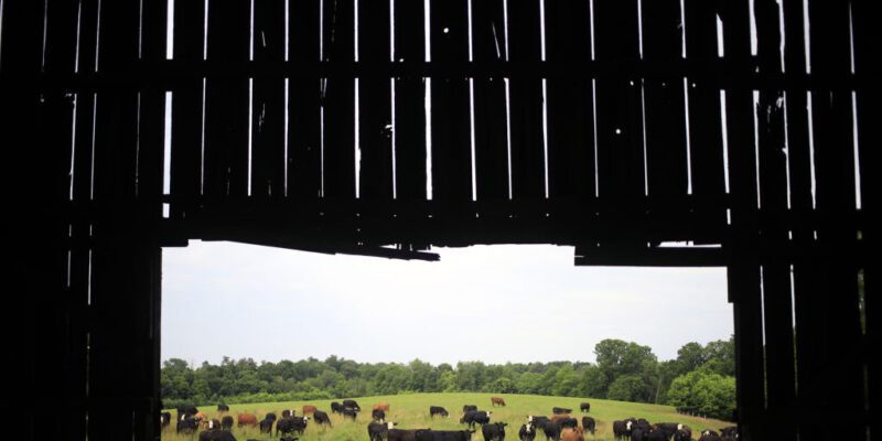 data center builders thought farmers would willingly