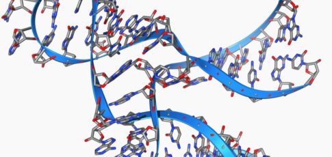 Tech News 12 tiny 45 base long rna can make