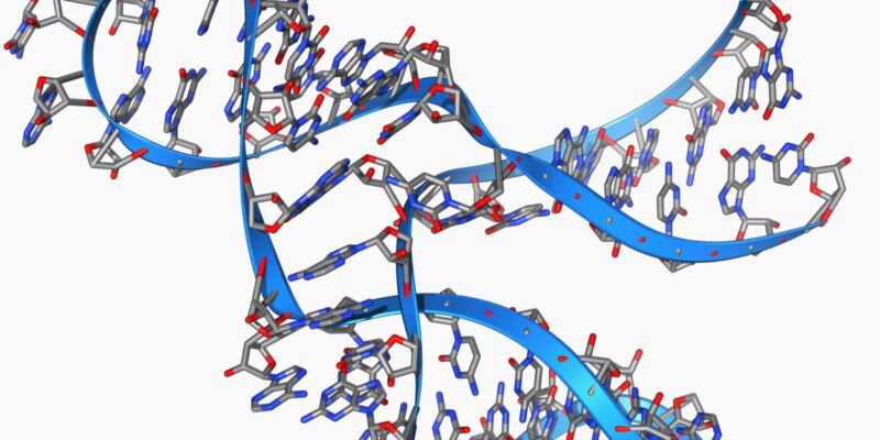 Tiny, 45 base long RNA can make copies of itself 15 tiny 45 base long rna can make