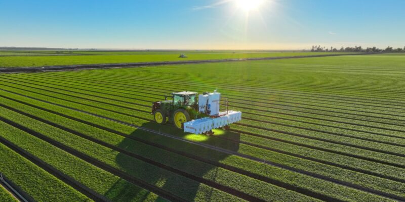 Carbon Robotics built an AI model that detects and identifies plants 5 carbon robotics built an ai model that