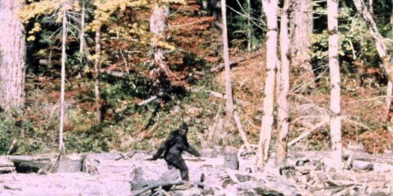 "It ain't no unicorn": These researchers have interviewed 130 Bigfoot hunters 8 it ain t no unicorn these researchers