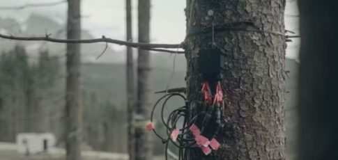 Tech News 11 new critique debunks claim that trees can
