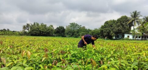 india s varaha bags 20m to scale