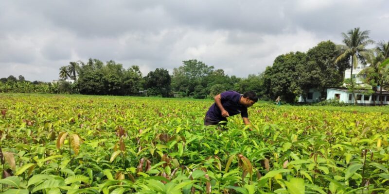 India’s Varaha bags $20M to scale carbon removal from the Global South 9 india s varaha bags 20m to scale