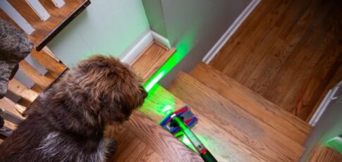 dyson s thin pencilvac fluffycones is tougher