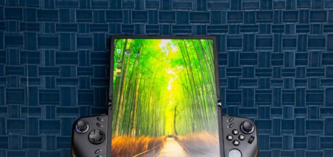 this windows gaming handheld has a screen