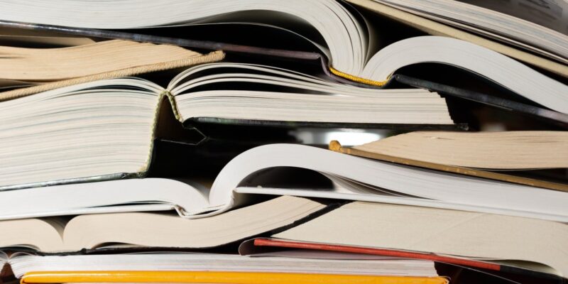 Publisher pulls horror novel ‘Shy Girl’ over AI concerns 17 publisher pulls horror novel shy girl over