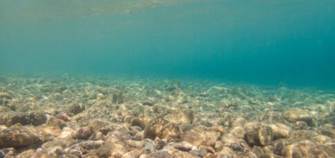 mining the deep ocean