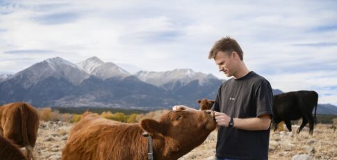 peter thiel s big bet on solar-powered