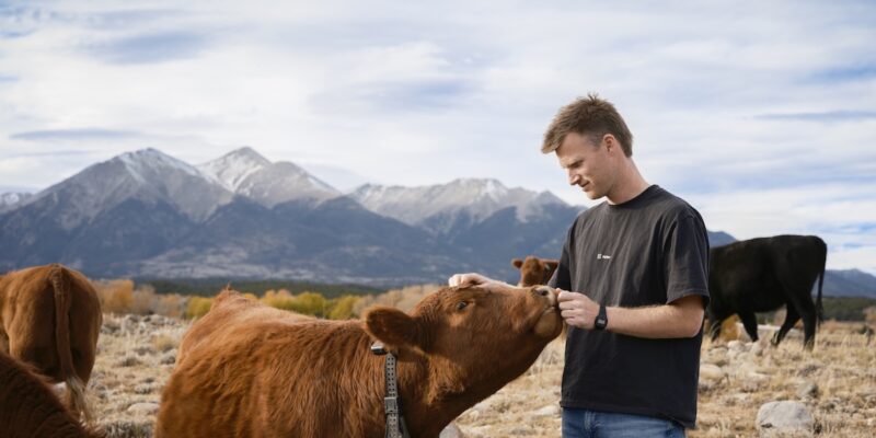 peter thiel s big bet on solar-powered