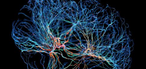 openai starts offering a biology-tuned llm