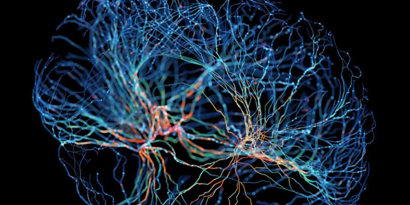 OpenAI starts offering a biology-tuned LLM 13 openai starts offering a biology-tuned llm