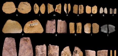 ice age dice show early native americans