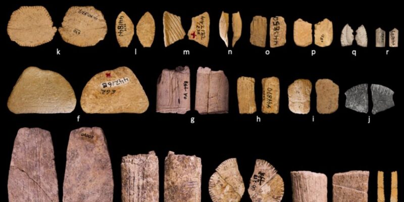 Ice Age dice show early Native Americans may have understood probability 7 ice age dice show early native americans