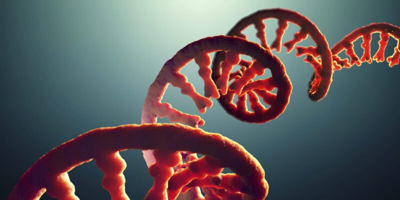 Do you take after your dad’s RNA? 9 do you take after your dad s