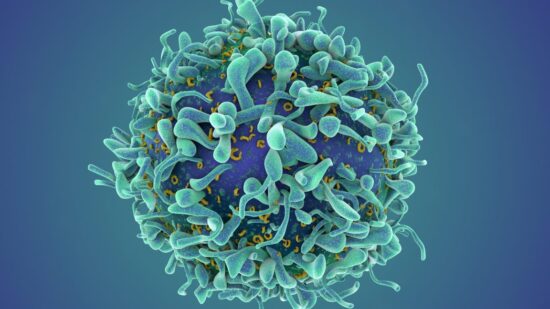 a revolutionary cancer treatment could transform autoimmune