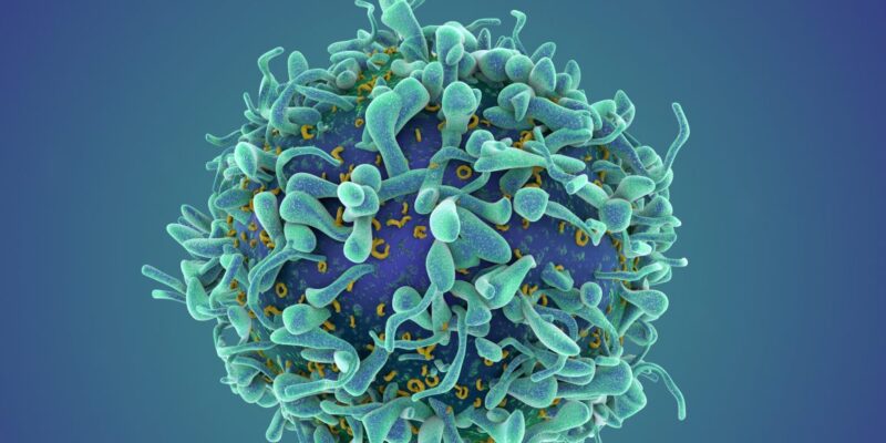 a revolutionary cancer treatment could transform autoimmune