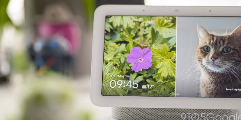 google home display appears hopefully as a