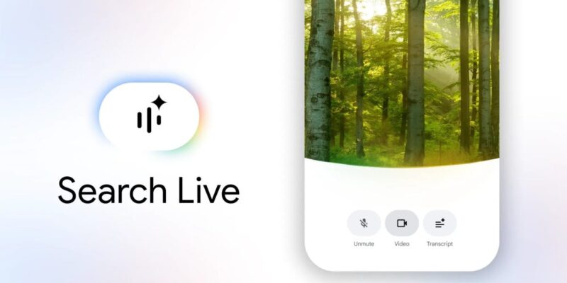 google rolling out a really vibrant search