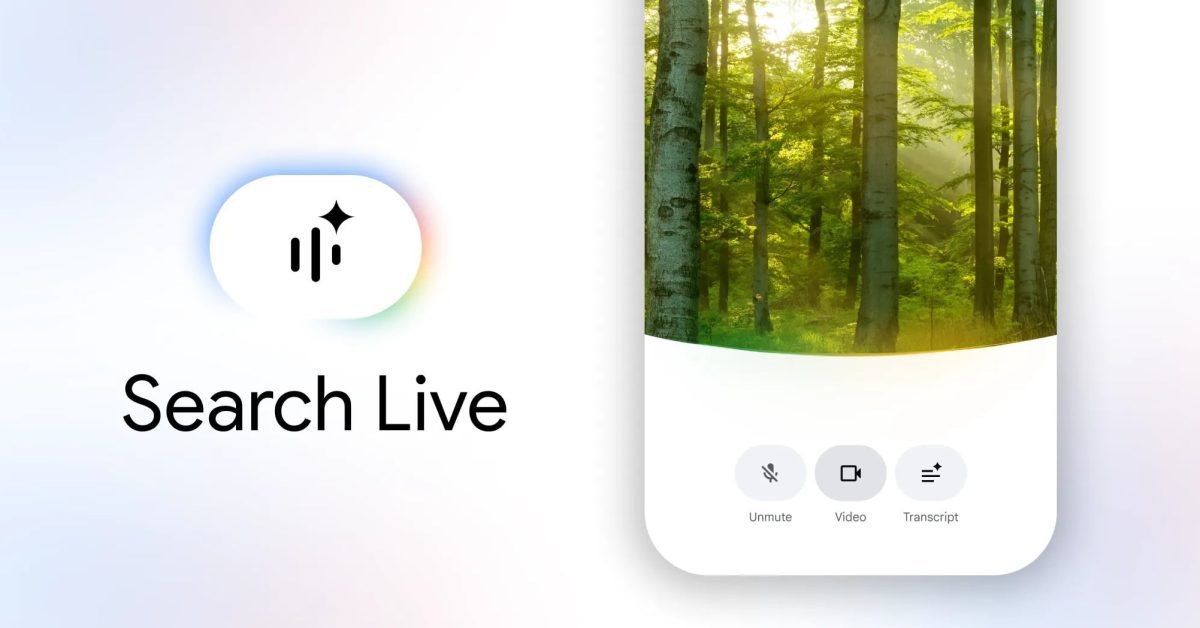 google rolling out a really vibrant search