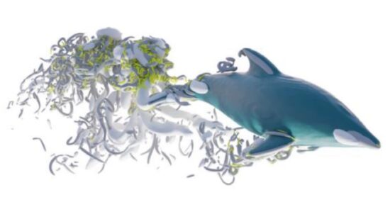 research roundup 6 cool science stories we