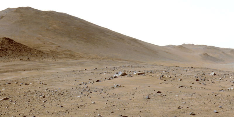 A martian rock has lots of carbon on it, and it's not clear why 9 a martian rock has lots of carbon