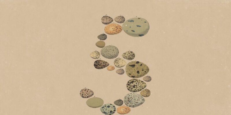 Anthropic's Opus 5 is about token efficiency, not a capability leap 6 opus 5