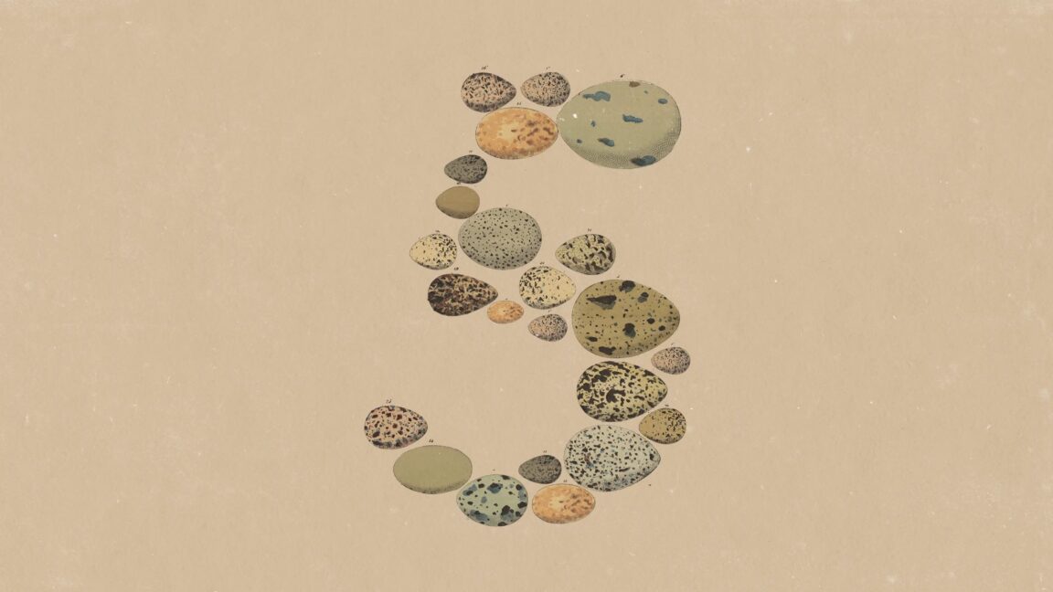 Anthropic's Opus 5 is about token efficiency, not a capability leap 1 opus 5