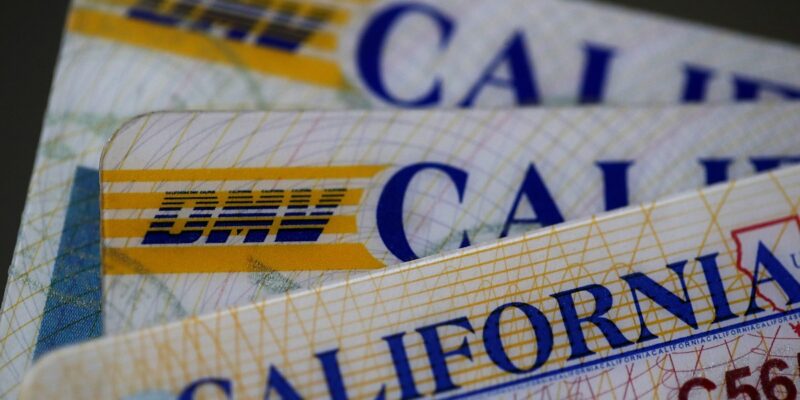 driver s licenses