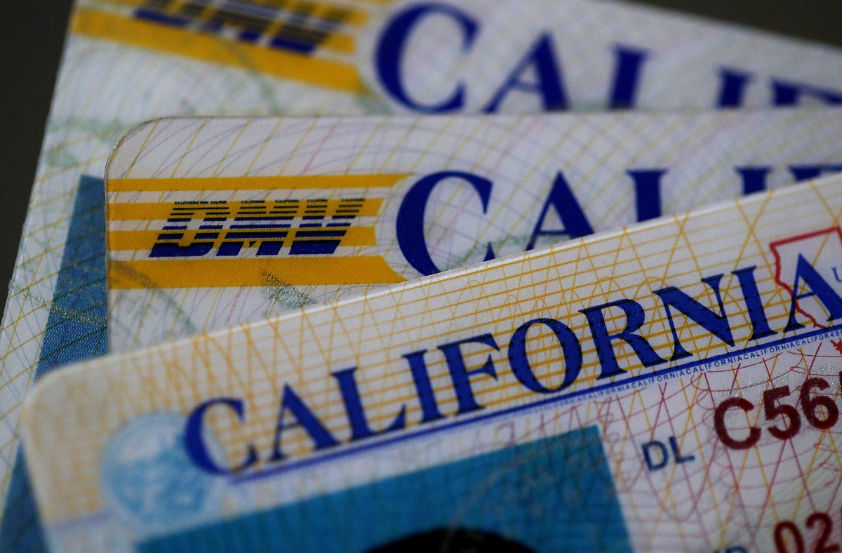 driver s licenses