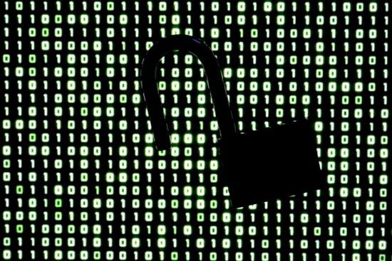 the vulnerabilities