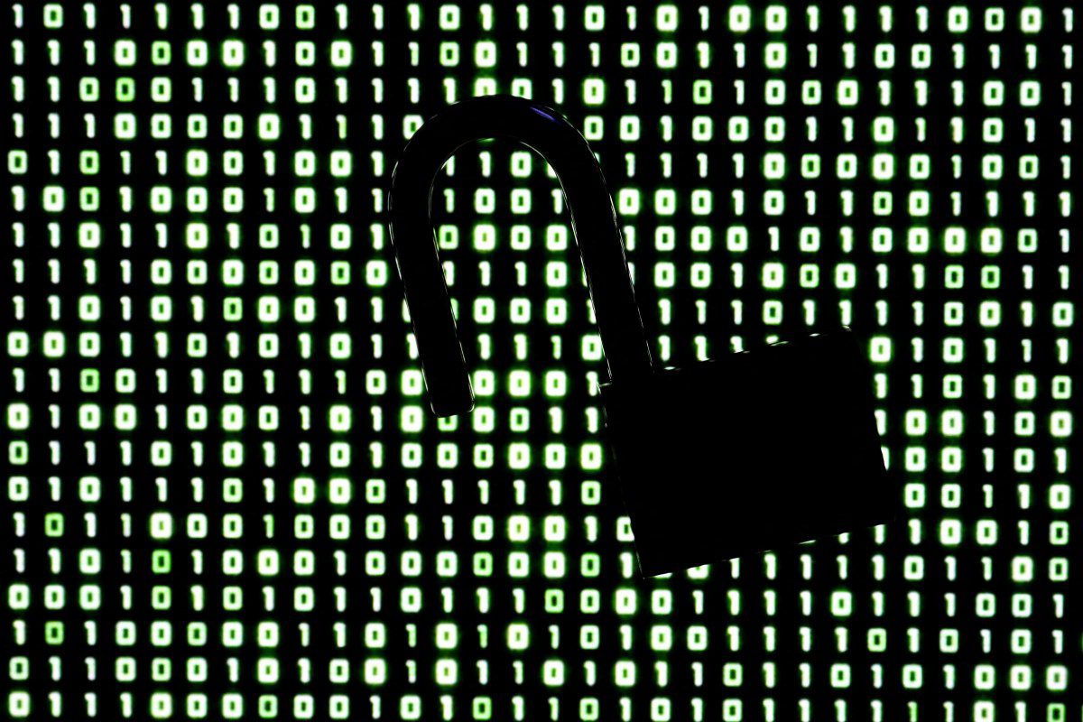 the vulnerabilities