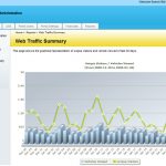 Traffic summary report. Visits and unique vehicle views