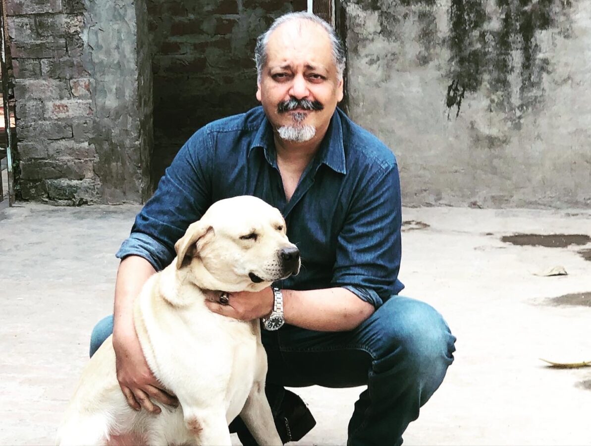 Dogs on Deployment, Hashe Computer Solutions (Pvt) Ltd. Dogs on Deployment, Hashe Computer Solutions (Pvt) Ltd.