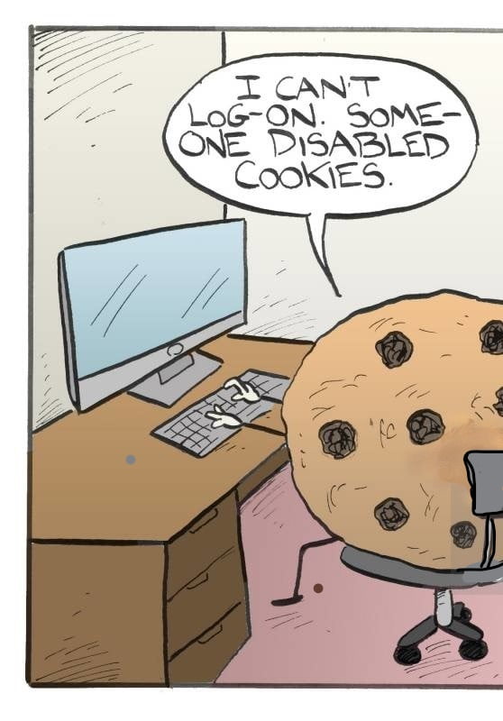 Website Security, Cookies, and CyberAttacks, Hashe Computer Solutions (Pvt) Ltd.