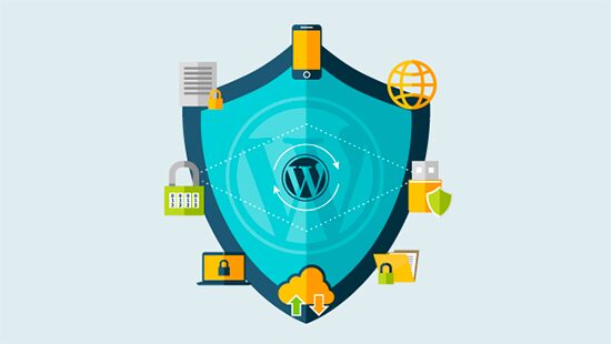 Website Security, Cookies, and CyberAttacks, Hashe Computer Solutions (Pvt) Ltd.
