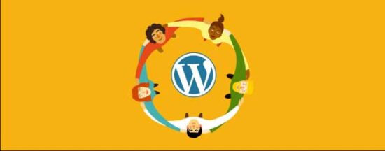 WordPress Development, Hashe Computer Solutions (Pvt) Ltd.