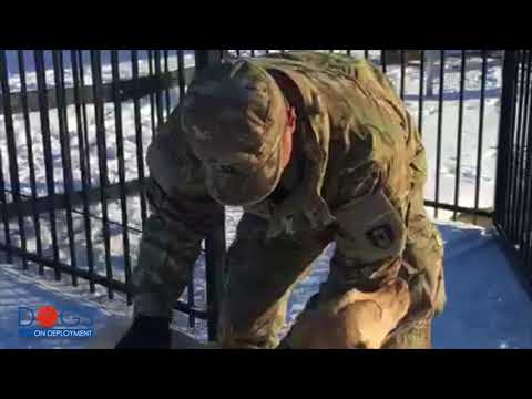 US Army