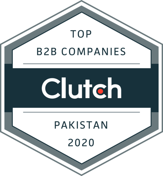 Hashe Computer Solutions Named Top B2B Company in Pakistan, Hashe Computer Solutions (Pvt) Ltd.