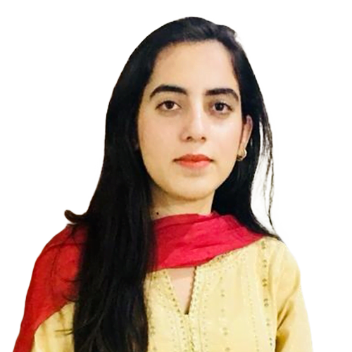 Software Engineer