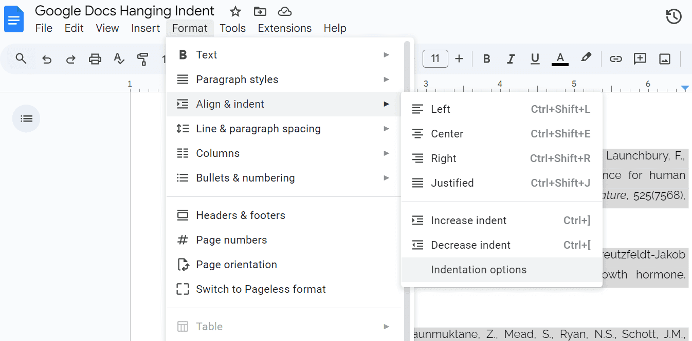 How to Create a Hanging Indent on Google Docs: A Brief Guide, Hashe Computer Solutions (Pvt) Ltd.