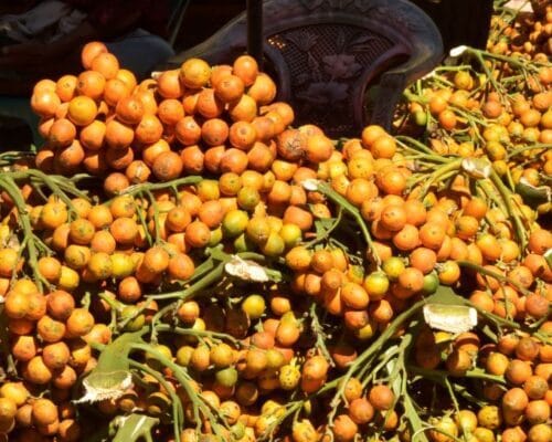 Betel nuts have been giving people a buzz for over 4,000 years 5 Betel nuts have been giving people a buzz for over 4,000 years